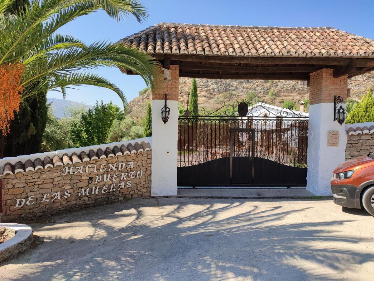 Hacienda Puerto De Las Muelas Ronda Eksteriør billede