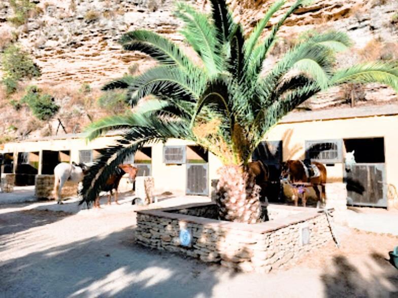 Hacienda Puerto De Las Muelas Ronda Eksteriør billede