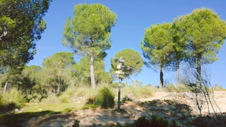 Hacienda Puerto De Las Muelas Ronda Eksteriør billede