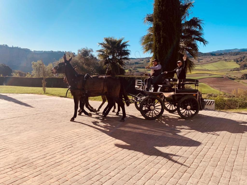 Hacienda Puerto De Las Muelas Ronda Eksteriør billede